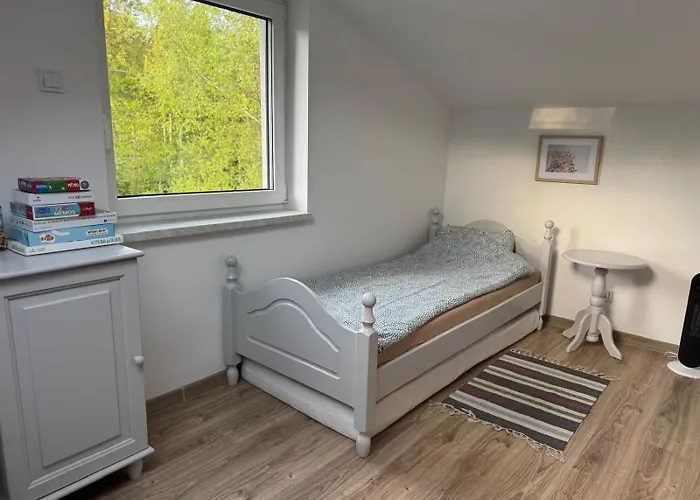 Stefanowy * Ciekocino